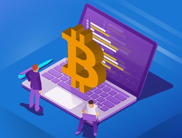 수이코인 레이어1 프로젝트 불샤크 NFT 홀더 대상 에어드랍